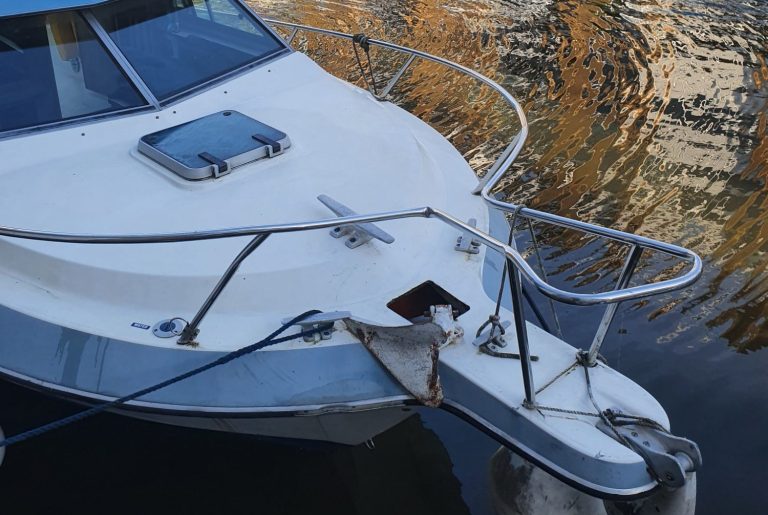 Free Cruisers International 23